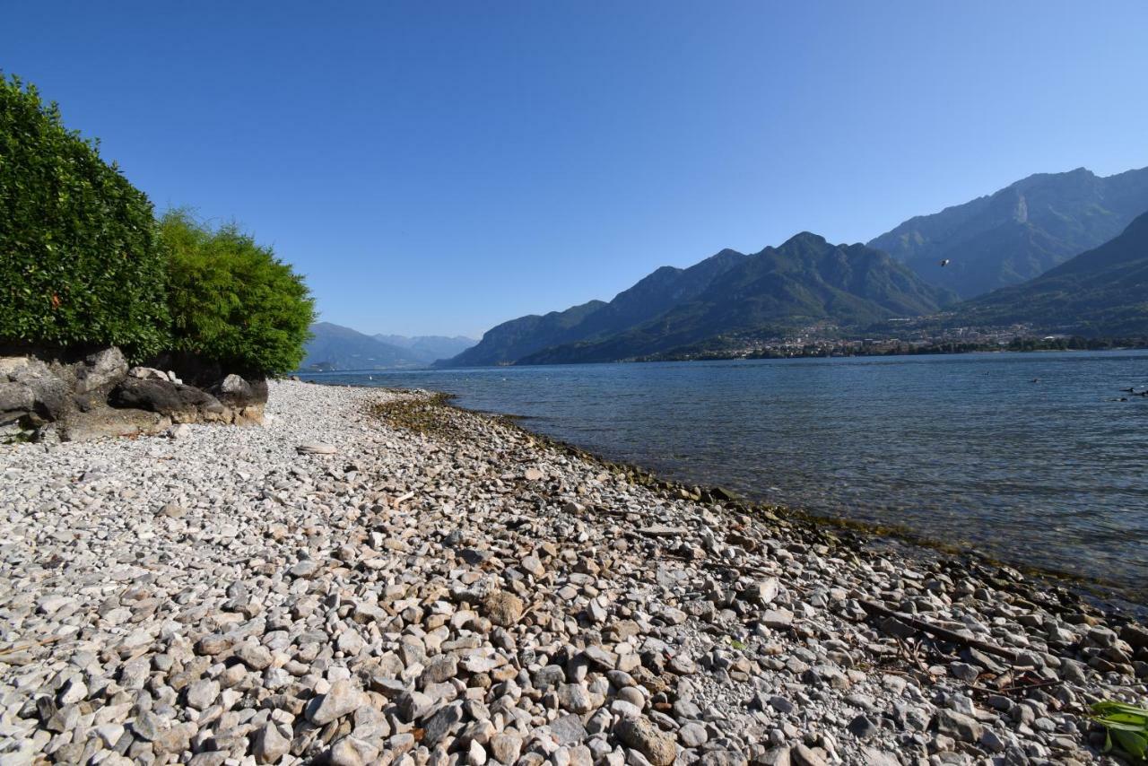 Villa Mimosa Bellagio Wild Flowers Oliveto Lario エクステリア 写真